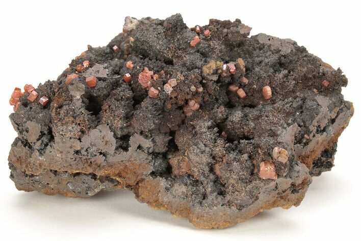Small, Red Vanadinite Crystals on Manganese Oxide - Morocco #211991